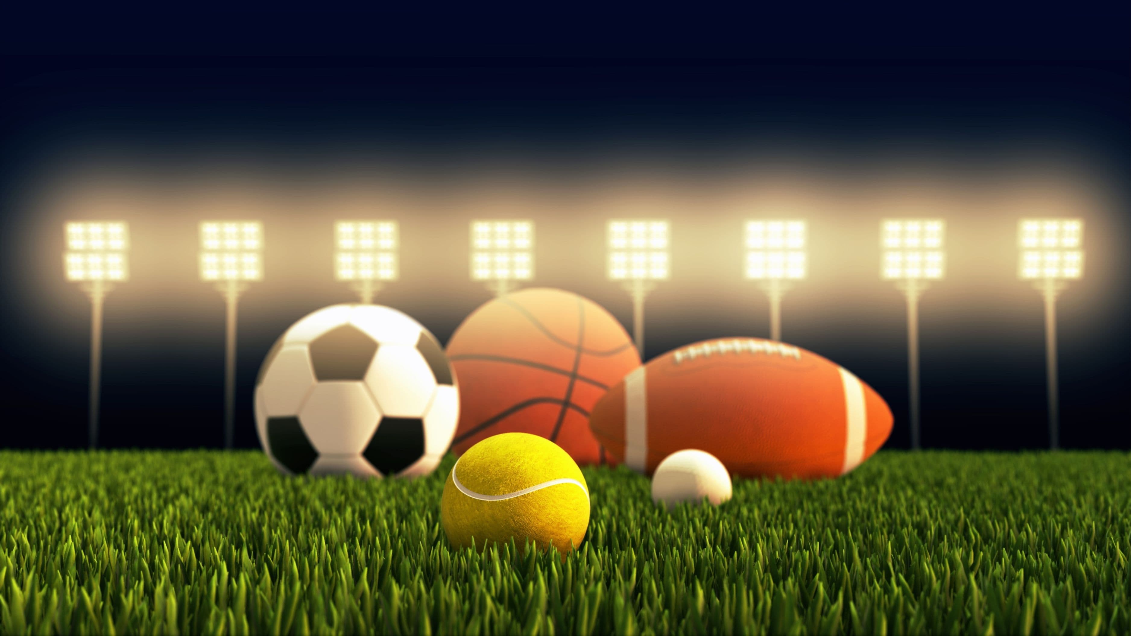 What Is a Soft Sportsbook and Why Do Sharp Bettors Love Them?